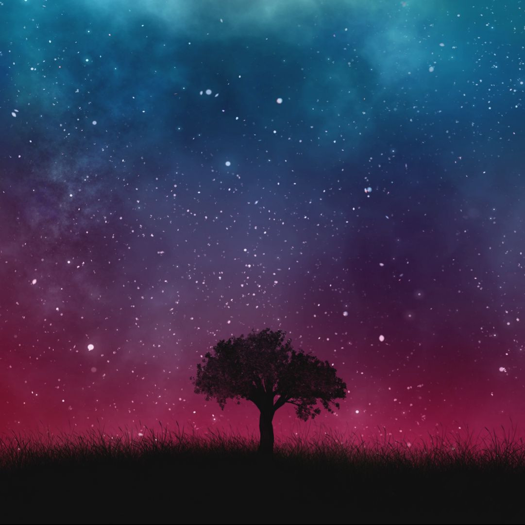 images/avatars/avatar_1589-3570.jpg